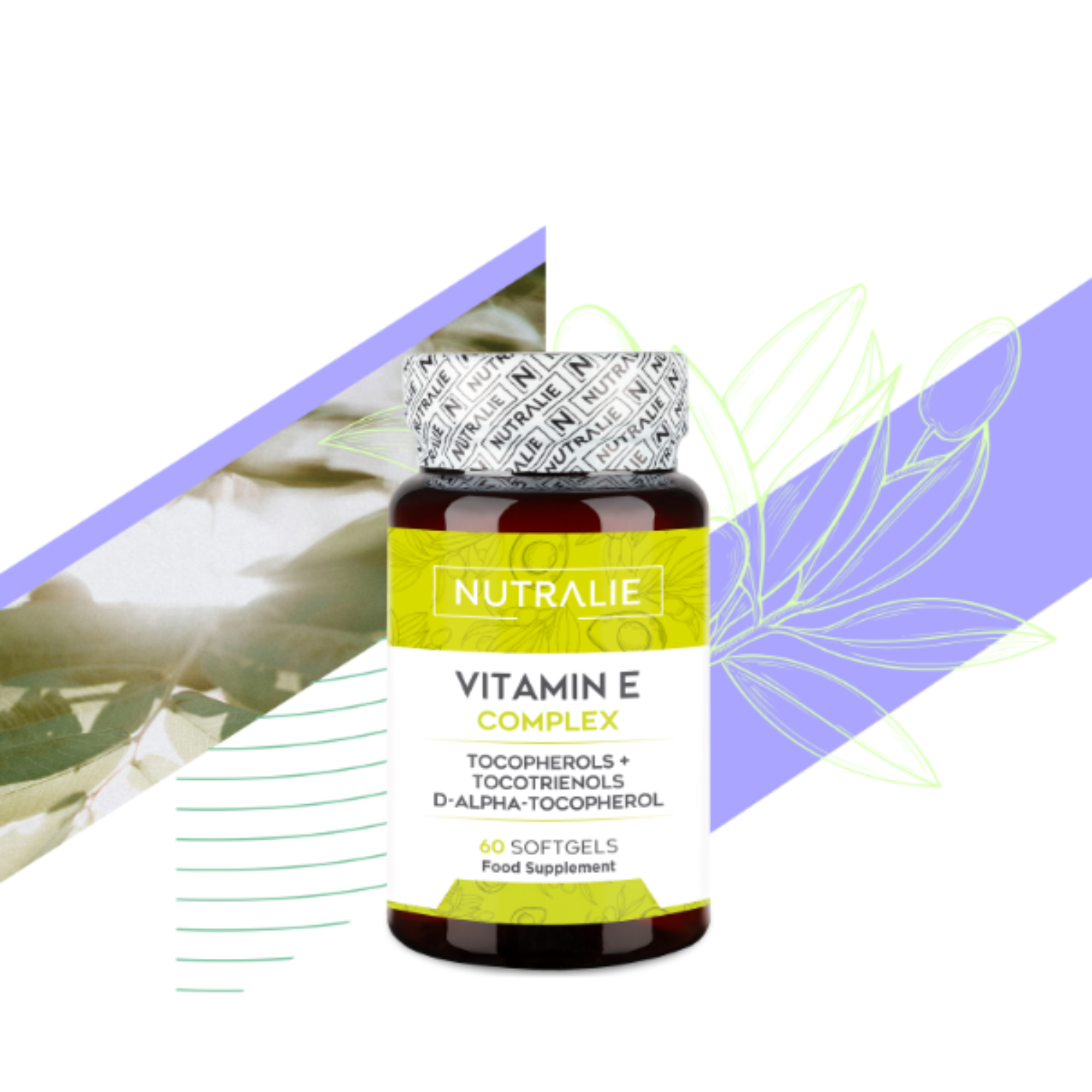 Diseno-sin-titulo-49 (1)